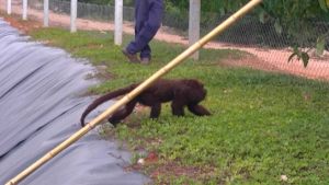 WhatsApp Image 2021-02-22 at 15.30.55